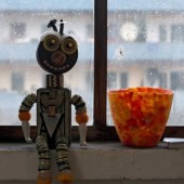 IMG_w_8147