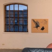 IMG_w_7896