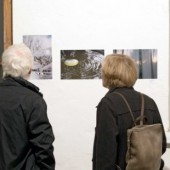 IMG_w_7947