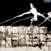 IMG_w_8452